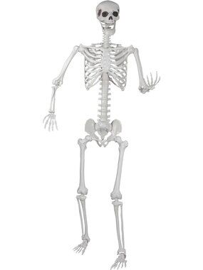 Realistic Life-Size Skeleton with Movable Joints for Halloween Party Decor 5.9ft